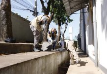 Agentes de saúde reforçam prevenção contra escorpiões em imóveis do DF