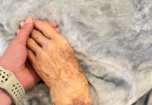 Após cancelar compromissos, Celina acompanha mãe no hospital: “Minha prioridade”